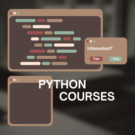 Python: The Language That's Caching Up and Never Slowing Down